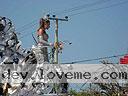 Carnival-113