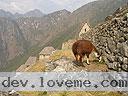 Machu-Picchu-020