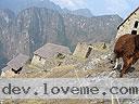Machu-Picchu-021